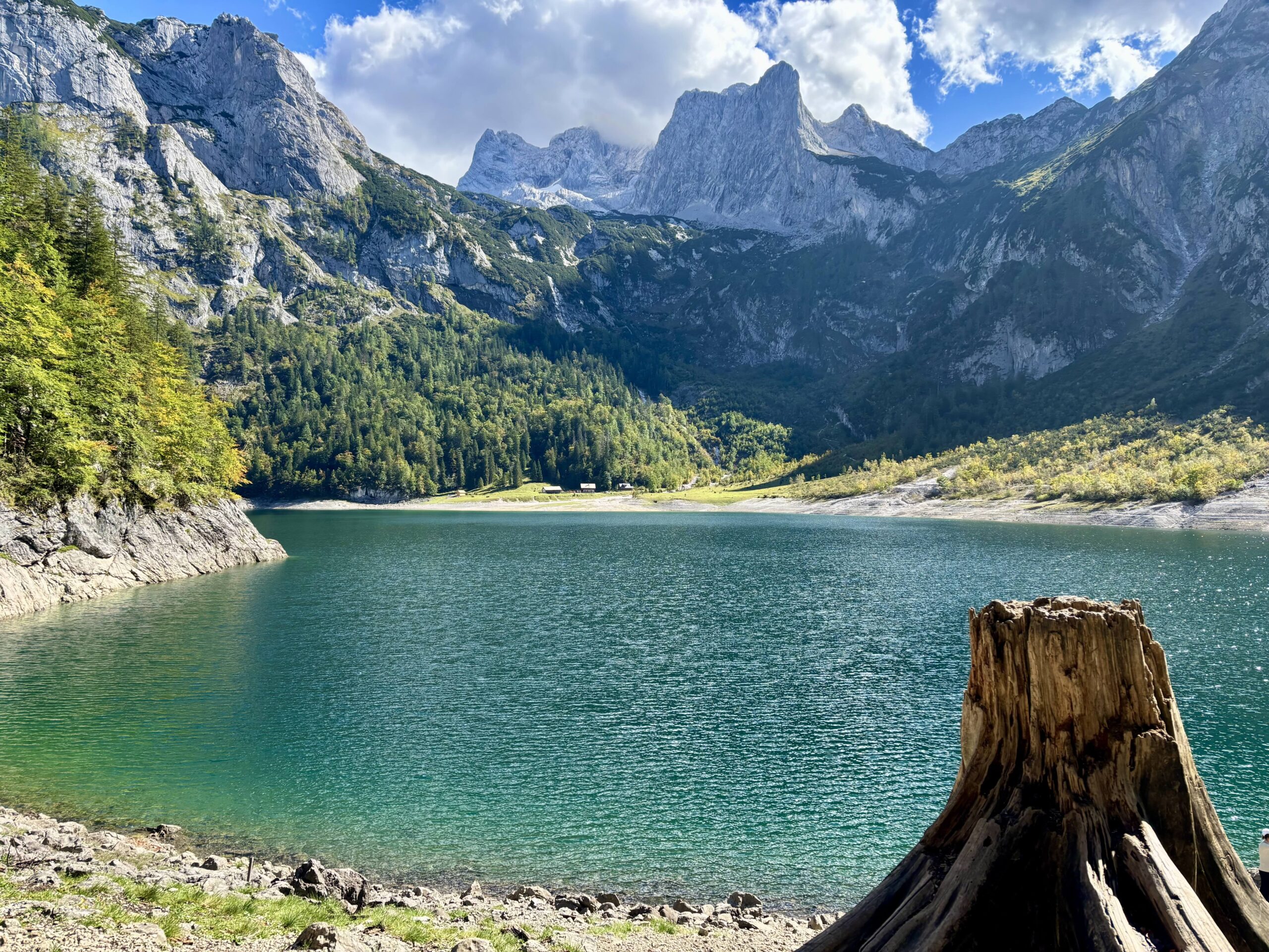 Grüner See mit Felsen und Bergen im Hintergrund Holzstumpf rechts vorne