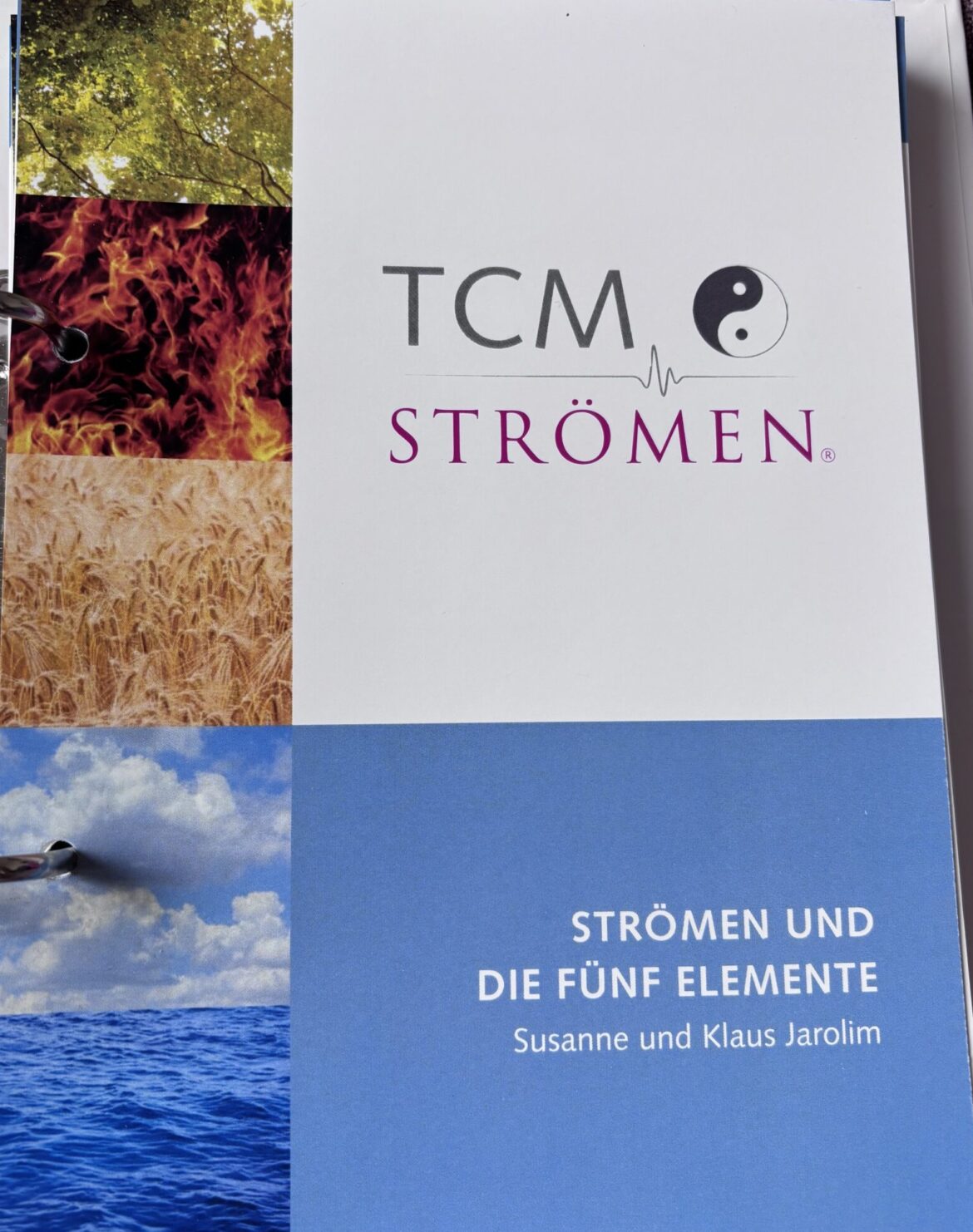 Weiterbildung TCM Strömen